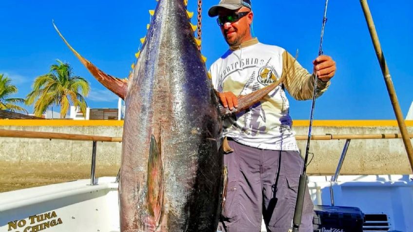 Fernando Almada, el pescador guaymense que rompió récord de 'jigging' en Puerto Vallarta