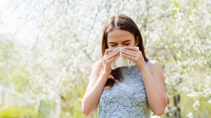 ¿Se termino tu Avapena? Estos son otros medicamentos que controlan las alergias