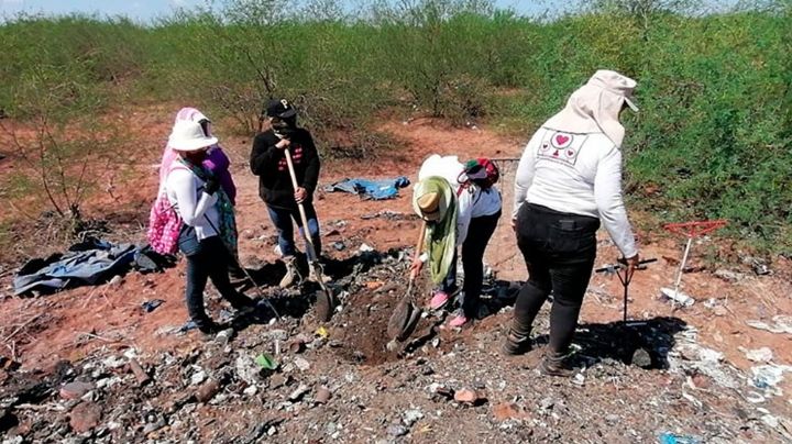 Sonora: Descubren nuevos restos humanos calcinados y enterrados en predio de Guaymas