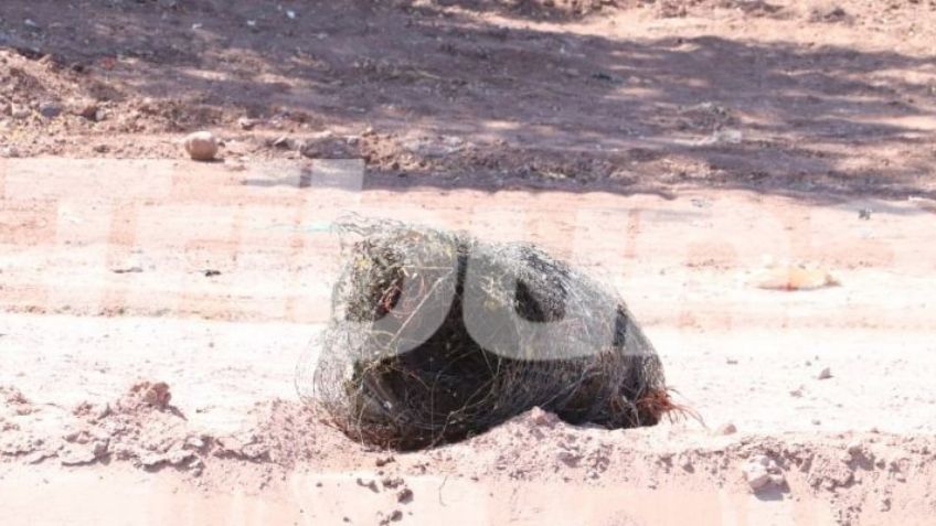 Tenía 33 años: Identifican a hombre envuelto en alambre y arrojado a canal de Cajeme