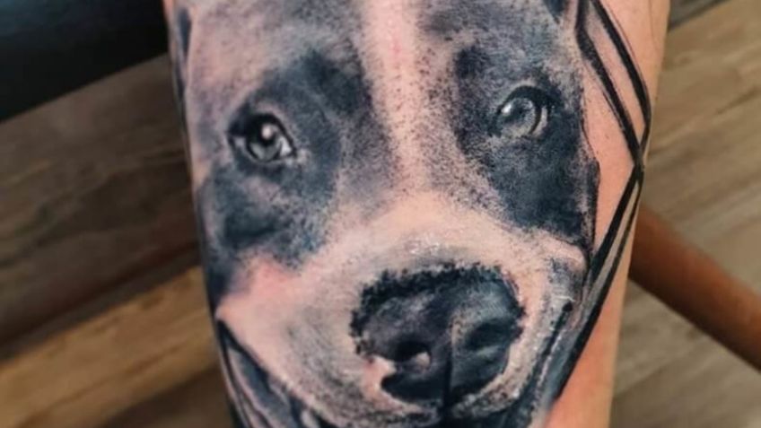 ¿Tienes un pitbull? Estos tatuajes para hombres en el brazo son perfectos para ti