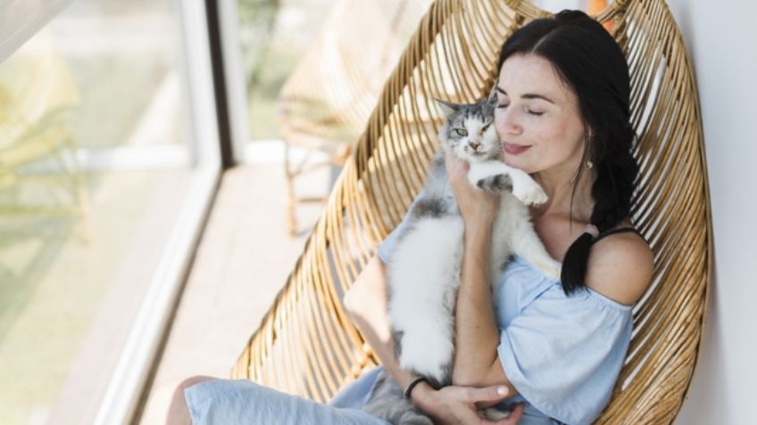 ¿Tienes un gato? Esta es la forma correcta en la que debes acariciarlo