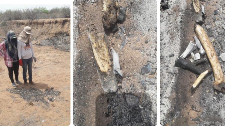 Localizan fosa clandestina con seis cadáveres calcinados en Guaymas; habría una mujer