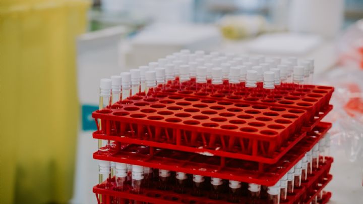 Covid-19: Tras 383 días en pandemia, México crea la vacuna 'Patria'; conoce cómo es el fármaco