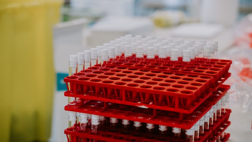 Covid-19: Tras 383 días en pandemia, México crea la vacuna 'Patria'; conoce cómo es el fármaco