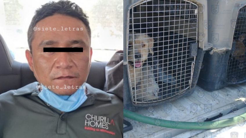 ¡De terror! Hombre guarda restos de perro en su patio; le divertía descuartizar animales