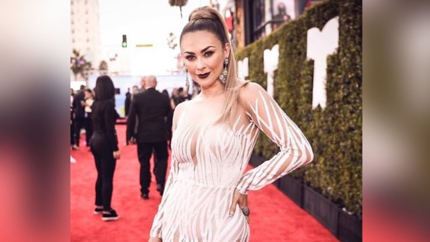 VIDEO: Así de espectacular luce Aracely Arámbula en ropa deportiva y al ejercitarse a sus 46 años