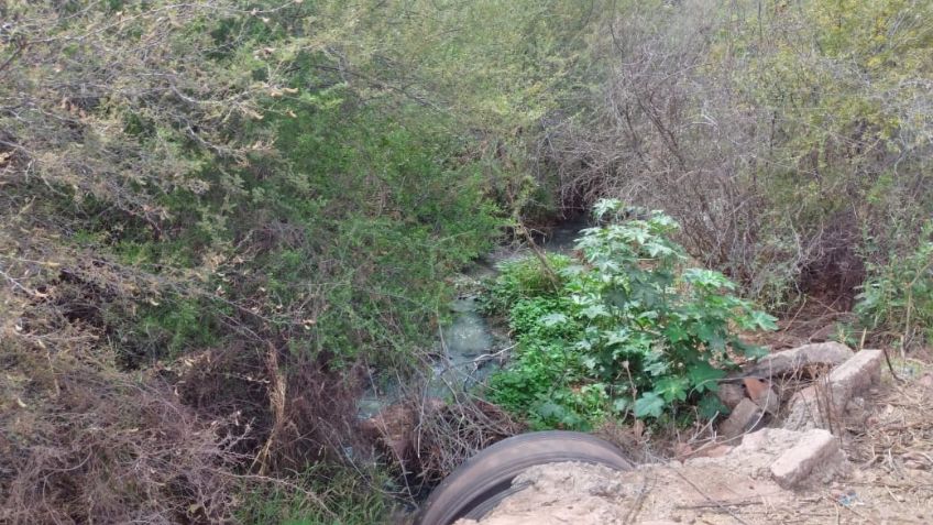 Niños de casa hogar en Guaymas en riesgo por drenaje expuesto
