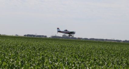 Ciudad Obregón: Buscan regular avionetas de fumigación por quejas de ciudadanos