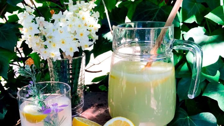 ¡Refréscate! Este frappé de limón con hierbabuena hará que te olvides del calor