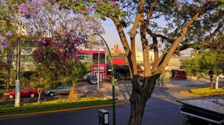 Una casa de seguridad, dos muertos y 7 secuestrados: Lo que se sabe de la balacera en Jalisco