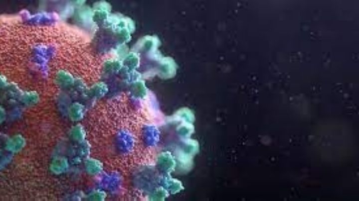 ¡Alerta mundial! Expertos advierten sobre una devastadora y súper variante Covid-19