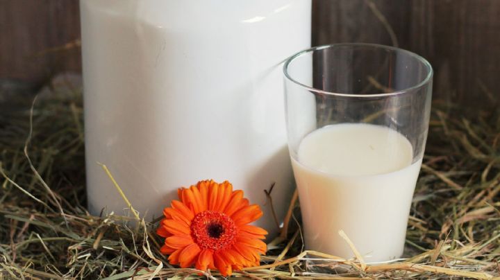 ¡Ten cuidado! Estos son los riesgos de tomar leche 'natural' y sin pasteurizar