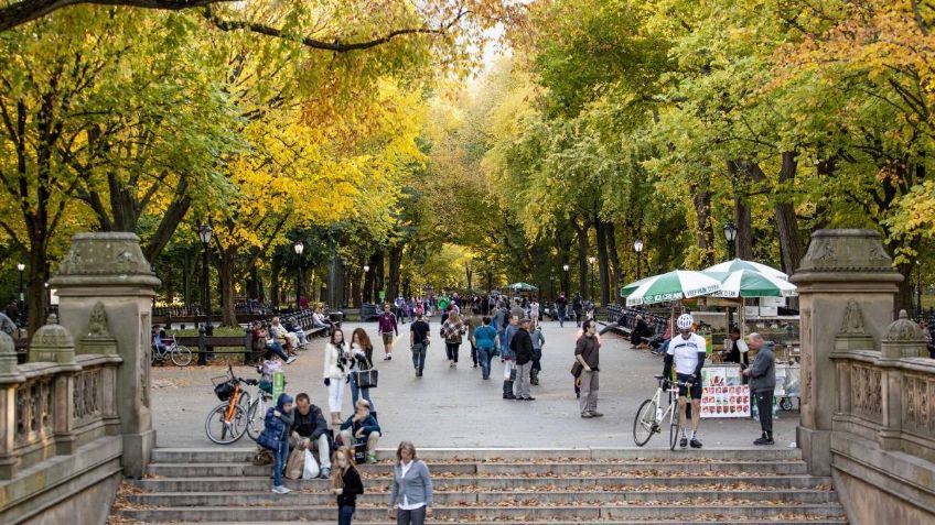 Ataque racista: Golpean por sorpresa a un hombre asiático en Central Park, Nueva York