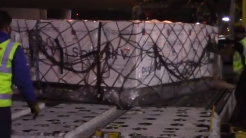 Covid-19: Llegan a la Ciudad de México más dosis de la vacuna Sputnik V