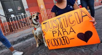 Justicia para 'Rodolfo Corazón': Convocan a marcha en Guaymas tras brutal asesinato de perrito
