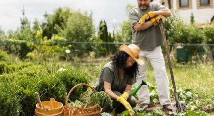 Día de la Tierra: Esta es la forma en la que puedes cuidar al planeta con tu alimentación