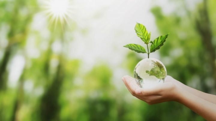 Aprende cómo cuidar al planeta desde casa en este Día de la Tierra