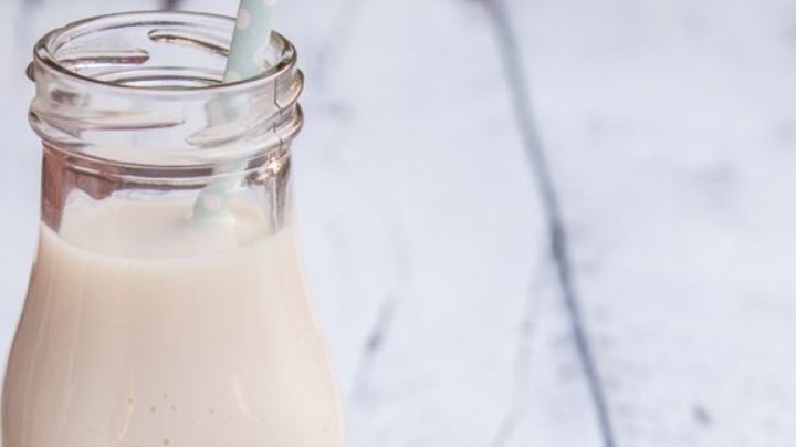 ¿Eres intolerante a la lactosa? Descubre qué bebida vegetal es mejor para tu salud