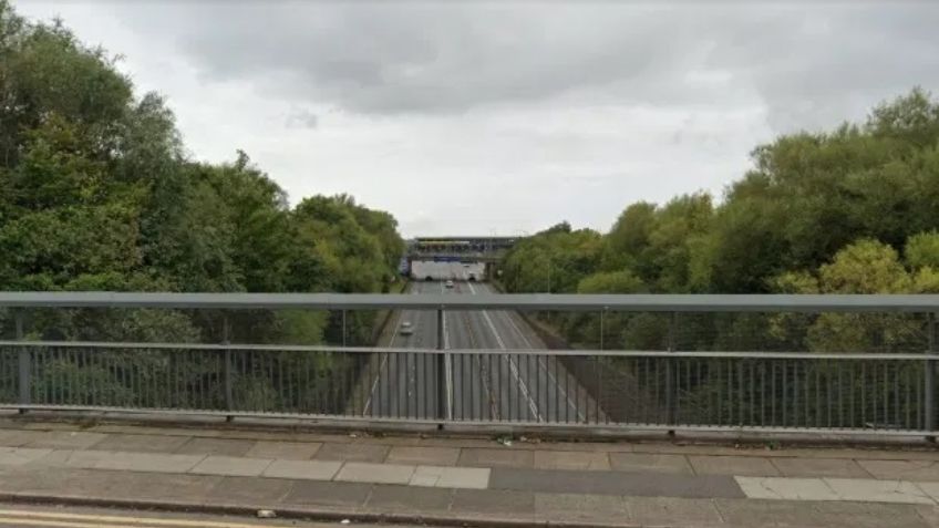 Macabro hallazgo: Arrojan el cadáver de un hombre detrás de un arbusto en un parque