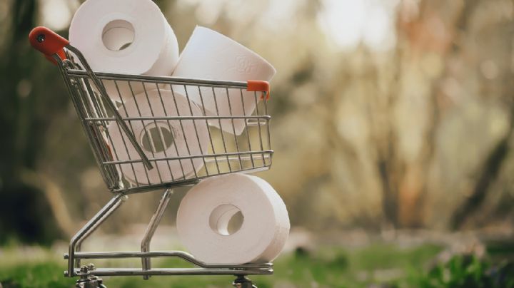 Impactante hallazgo: El papel higiénico causaría graves infecciones y hasta hemorroides