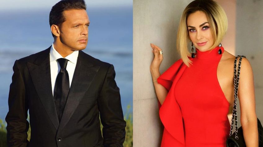 ¿Luis Miguel va a la cárcel? Abogado de Aracely Arámbula revela esta posibilidad
