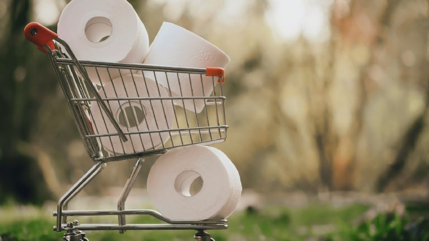 Impactante hallazgo: El papel higiénico causaría graves infecciones y hasta hemorroides