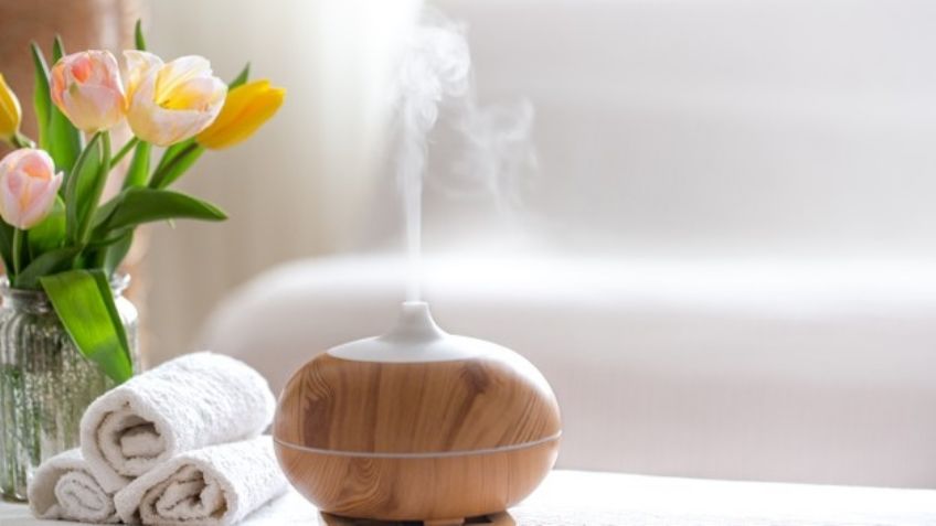 Descansa gracias al poder de la aromaterapia con estas flores relajantes