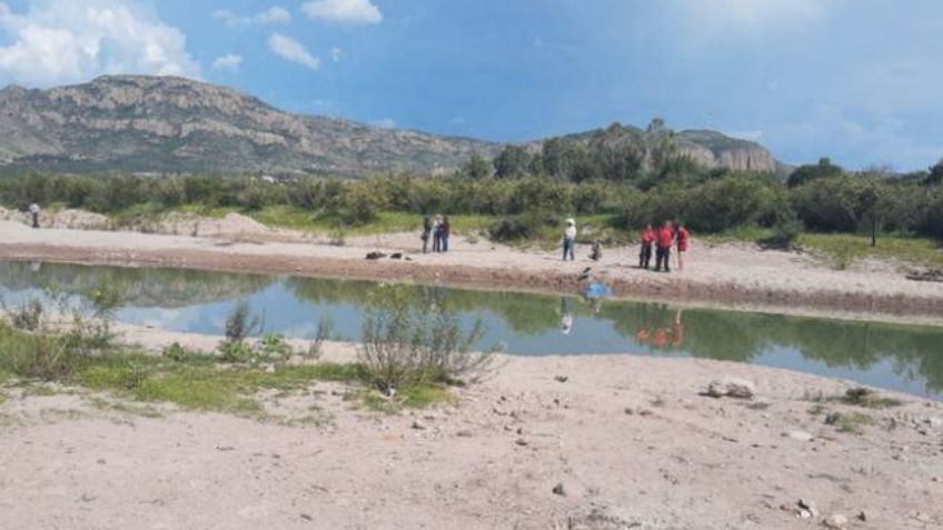 Fatal accidente: Jinete cae mientras galopaba en caballo y muere minutos después