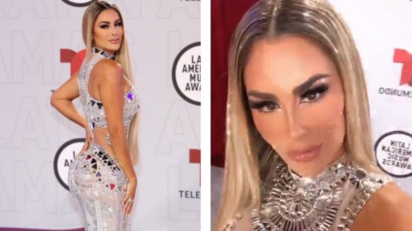 Ninel Conde olvida arresto de Larry Ramos y se luce en espectacular 'outfit' en Instagram