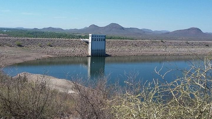Alarma en Sonora por sequía: Presas del estado se encuentran al 28% de capacidad