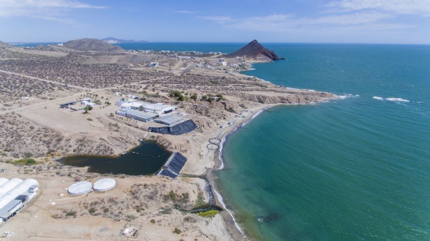 Clima Sonora: Este es el pronóstico del tiempo para hoy lunes 26 de abril