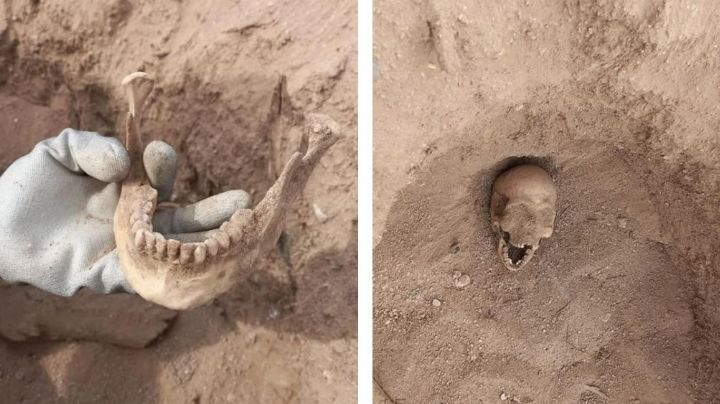 Terror en Sonora: Hallan al menos 20 osamentas en predio de Hermosillo: "Pueden haber más"