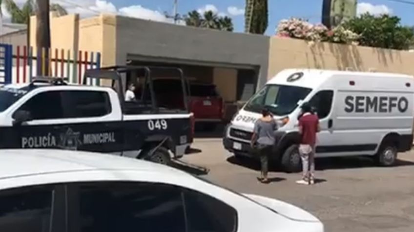 Mortal accidente: Jardinero de la tercera edad muere electrocutado al podar palma en Hermosillo