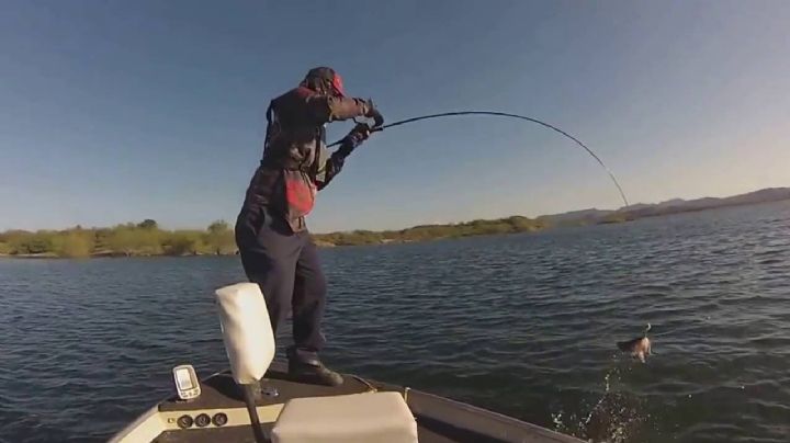 Veda de pesca comercial inicia el 15 de mayo en la presa 'El Oviachic'