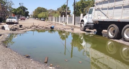 ¡Urge solución! Colonia Valle Dorado en Ciudad Obregón vive entre aguas negras