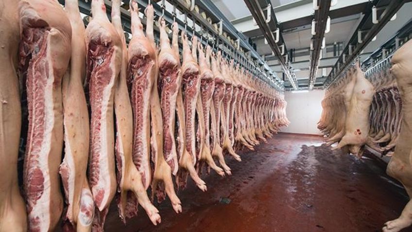 Etchojoa: Suspenden el rastro por carecer de las medidas de higiene adecuadas