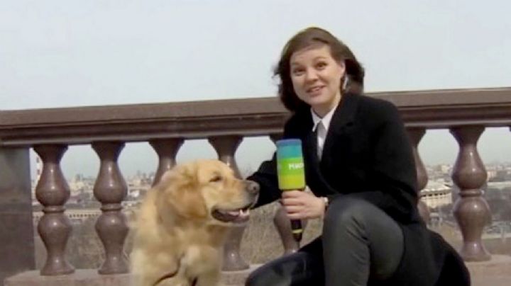 VIDEO: Perrito le roba el micrófono a una reportera mientras hacía una transmisión en vivo