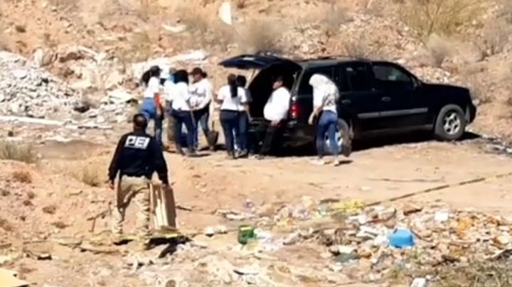 Hallan nuevos restos humanos en fosa clandestina de Guaymas; habría hasta cinco cadáveres