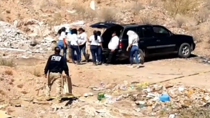 Hallan nuevos restos humanos en fosa clandestina de Guaymas; habría hasta cinco cadáveres