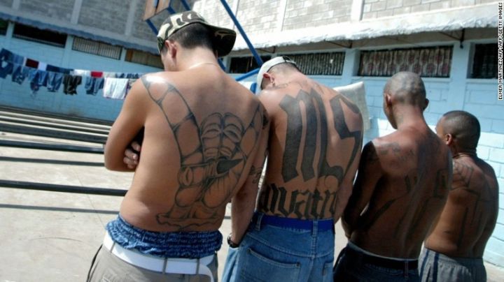 Pandilleros de la MS-13 se infiltran en grupos de indocumentados para evitar ser detenidos