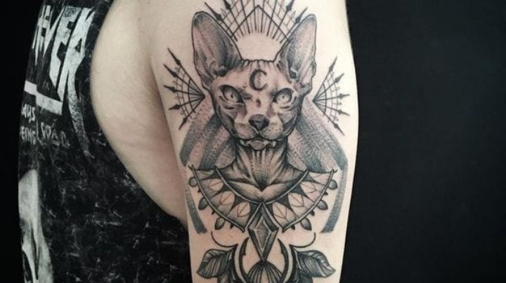 Lleva el amor gatuno en la piel con estas ideas de tatuajes para hombres en el brazo