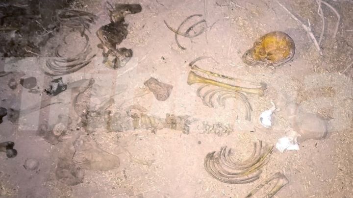 Encuentran dos cadáveres esqueléticos enterrados al sur de Sonora; serían dos mujeres jóvenes