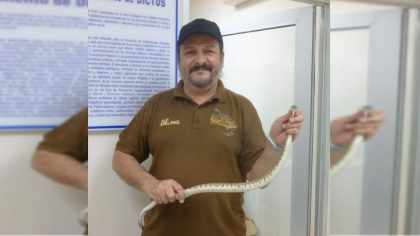 Experto alerta a los ciudadanos sobre los peligros de ciertos arácnidos