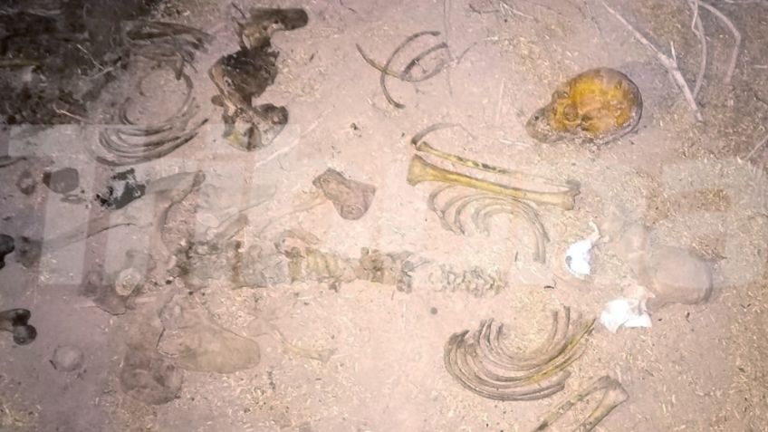 Encuentran dos cadáveres esqueléticos enterrados al sur de Sonora; serían dos mujeres jóvenes