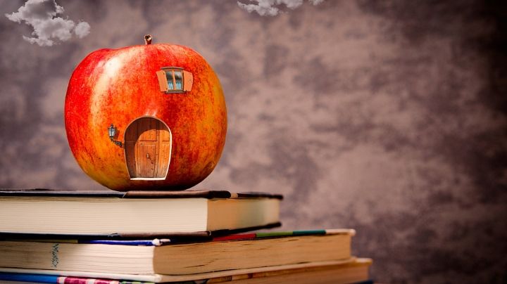 Maratón de fin de semana: Películas ideales para celebrar el Día del Maestro