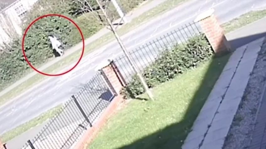 Atrocidad: Ella es la madre que abandonó a su bebé recién nacido al tirarlo en un parque