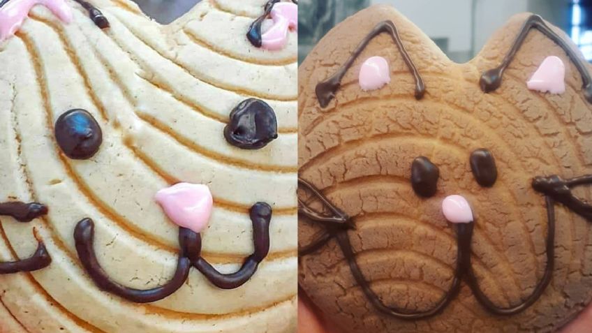 Este clima y un pan: 'Michiconchas' invaden las redes sociales y lucen deliciosas