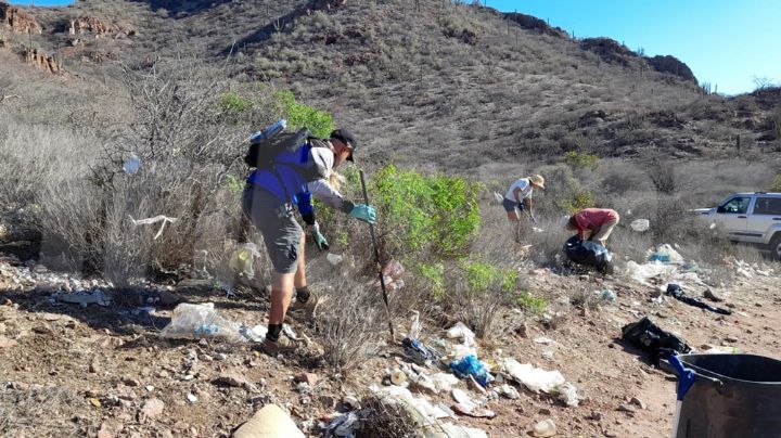 Cultura ambiental es casi inexistente en la región de Guaymas y Empalme
