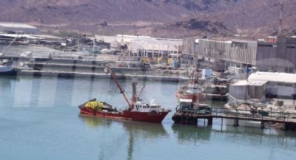 Guaymas: Ambientalistas piden sanciones a empresas pesqueras por el derrame de aceite y desperdicios